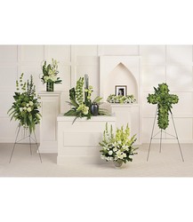 Tranquil Peace Collection from Clermont Florist & Wine Shop, flower shop in Clermont